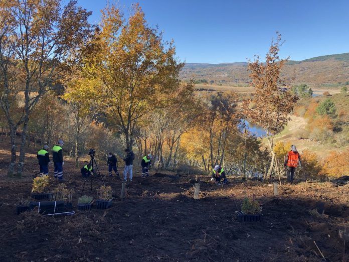 Fundación AQUAE Y AQUAOURENSE plantarán 840 árboles en Galicia dentro del  proyecto 'Sembrando oxígeno' - Reciclaje y gestión de residuos