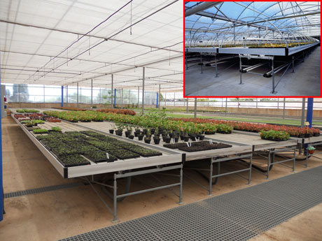 Las mesas mviles permiten la la mxima flexibilidad de trabajo en invernaderos de produccin