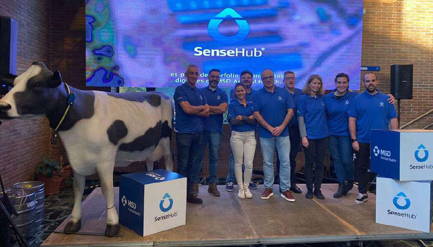 Equipo de trabajo de SenseHub