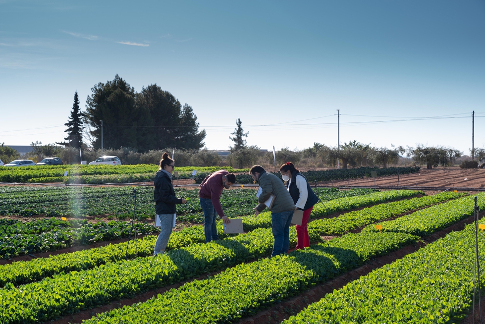 Open Day organizado este ao por Tozer Ibrica