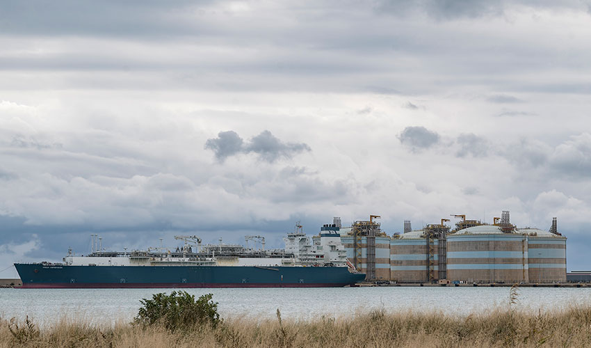 Carga del �Hoegh Esperanza�