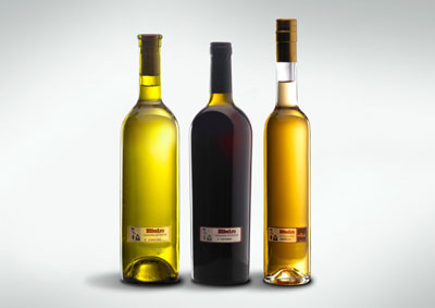 Como no poda ser menos, los vinos del Ribeiro, en cualquiera de sus presentaciones, denotan una personalidad acusada
