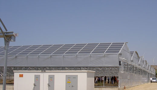 Invernaderos fotovoltaicos de Ininsa