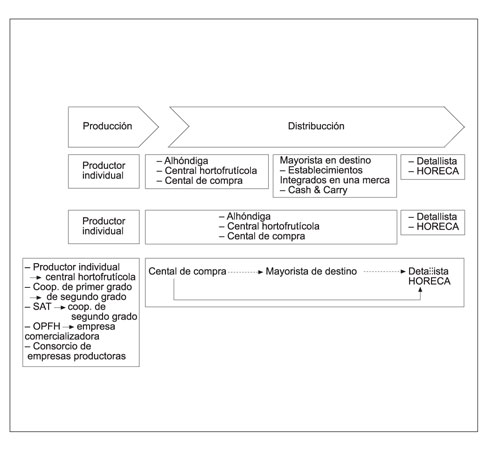 Cadena de distribucin de frutas y hortalizas frescas