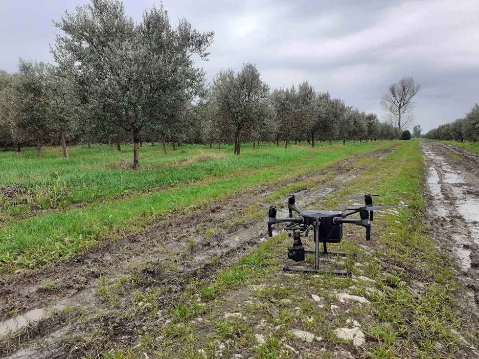 El dron se ha convertido en una herramienta fundamental para el desarrollo de la agricultura digital