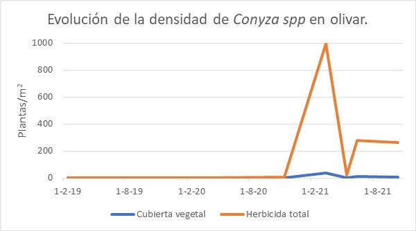 Grfica 1. Evolucin de la densidad de poblacin de Conyza spp. en el ensayo