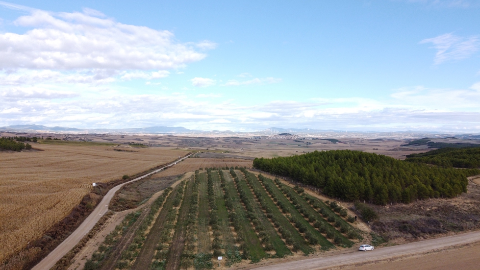 Vista area del ensayo