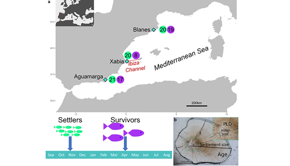 Los investigadores han analizado 105 individuos de tres poblaciones a lo largo de un gradiente geogrfico...