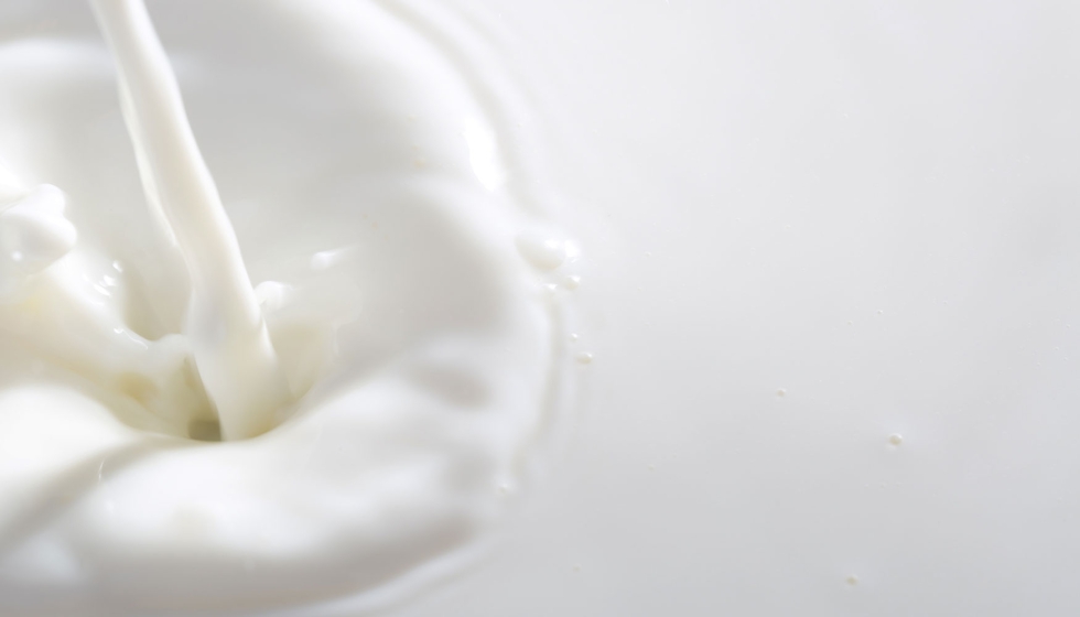 Fonterra es el gran referente internacional en la comercializacin de leche y productos lcteos