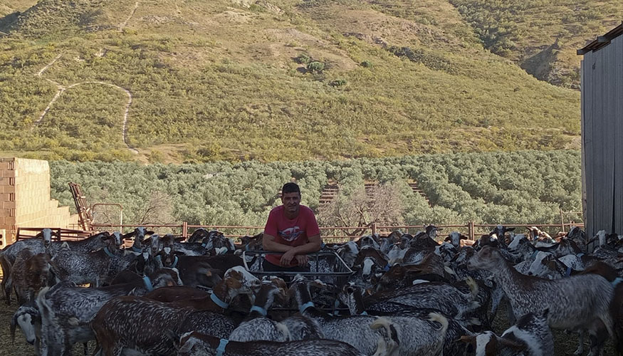 Explotaci�n Hermanos Aguilar S�nchez