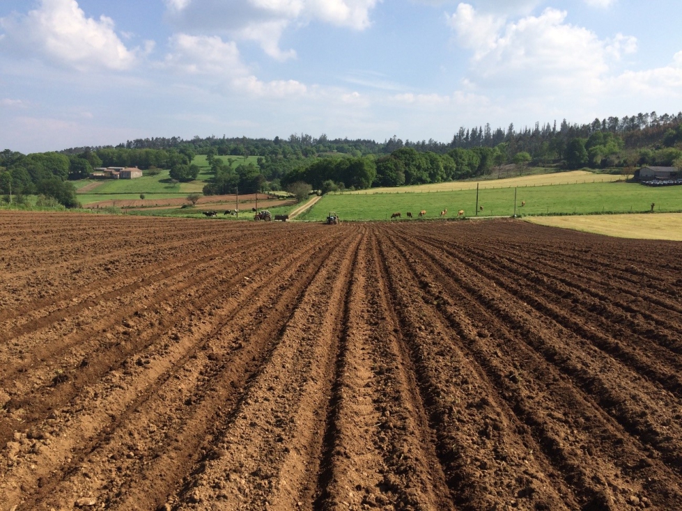 En el contexto de la reforma de la poltica agrcola comn para el perodo 2023-2027...