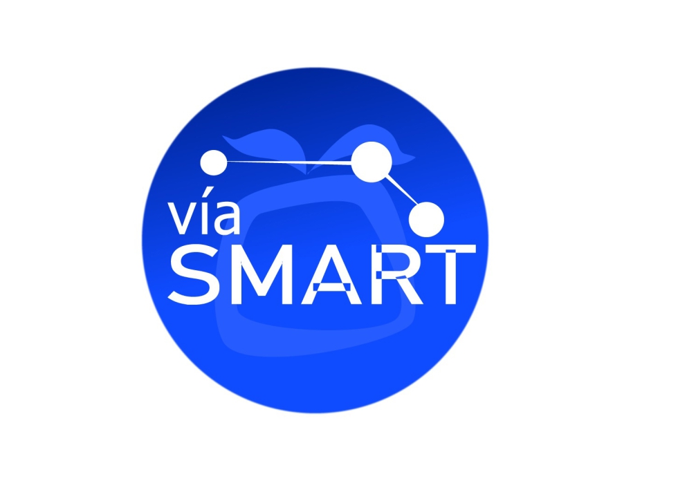 Imagen del distintivo VaSmart