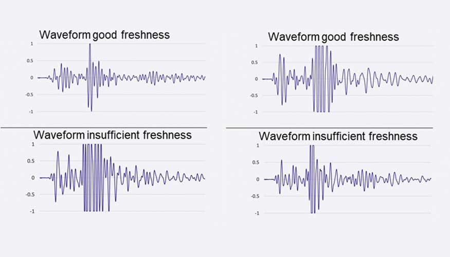 Imagen 2 (izquierda): Diferencias en las formas de onda de la calidad de frescura que son fciles de detectar con el ojo humano...