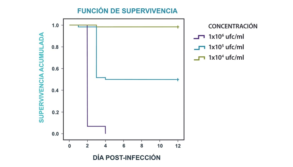 Figura 1. Funcin de supervivencia Kaplan-Meier en peces infectados por bao a distintas concentraciones de T...