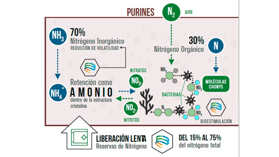 Ciclo del nitrogeno con Biaurelian