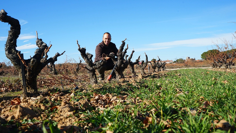Daniel Prez Herrero, director de viticultura y proyectos agronmicos en Bodega Hermanos Prez Pascuas