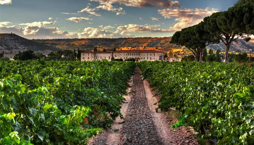 Bodegas emblem�ticas como la de Abad�a de Retuerta en la Ribera del Duero son uno de los principales atractivos del enoturismo en Castilla y Le�n...