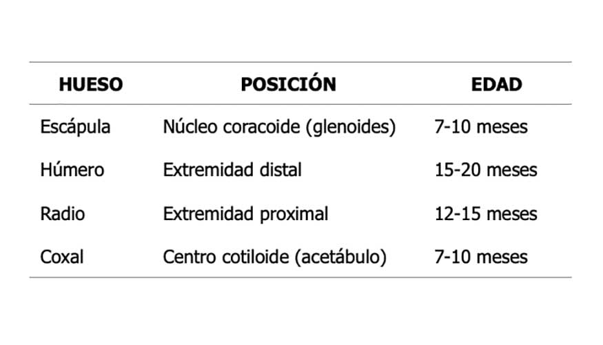 Tabla 4: Fechas de soldadura de las epfisis (Cavaco-Fasca et al., 2002)
