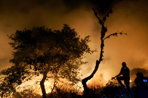 Bomberos actuando en uno de los focos de incendio en Galicia, agosto de 2006. Foto: Greenpeace