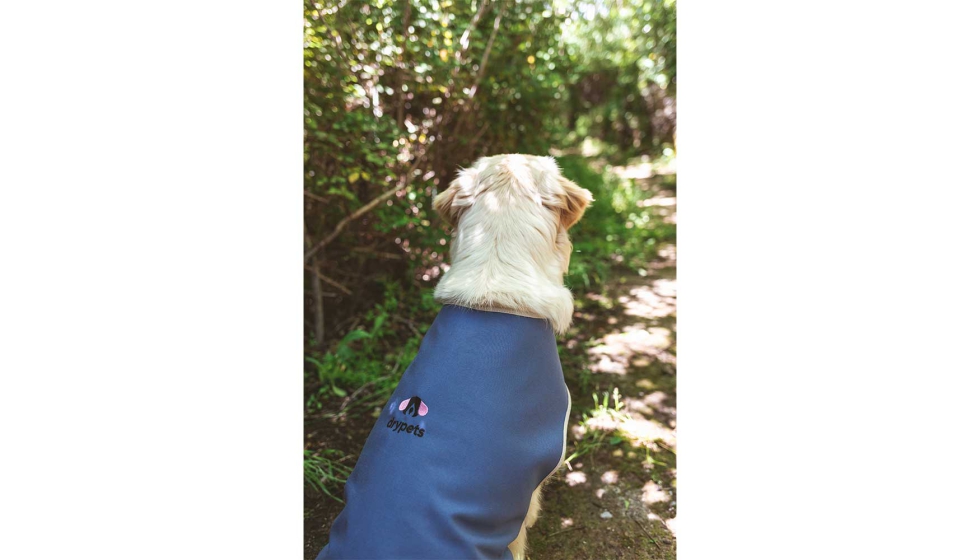 Evitar humedades, adems de usar ropa adecuada para mascotas que regulen su temperatura corporal...