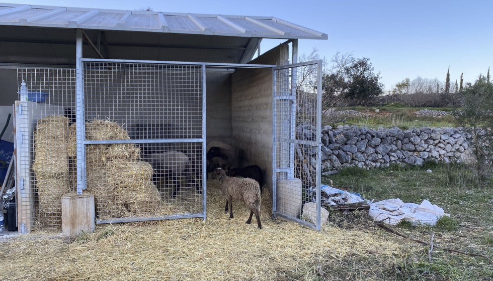 Refugio en el que fueron atacadas las ovejas