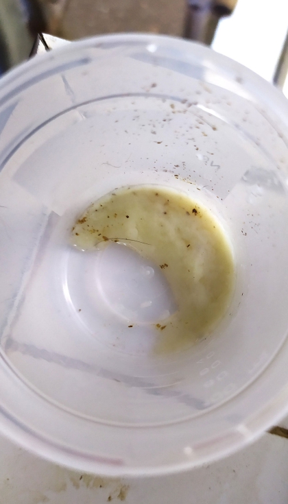 Aparici�n de fl�culos y secreci�n purulenta en muestra de leche de cabra con un posible proceso mam�tico cl�nico