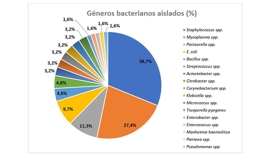 Figura 1. Prevalencia de los g�neros bacterianos aislados en muestras de leche de cabras con signos de mamitis cl�nicas
