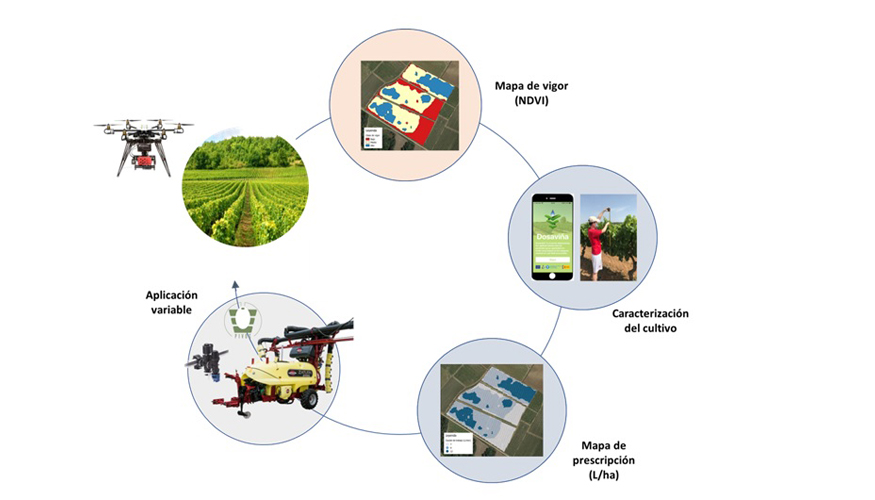 Figura 3: Ciclo de trabajo para la generacin de mapas de prescripcin y aplicacin variable de fitosanitarios
