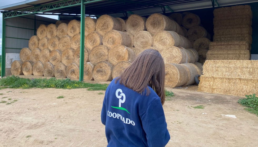 Una veterinaria de Cooprado toma notas ante un almac�n de paja de una explotaci�n ganadera