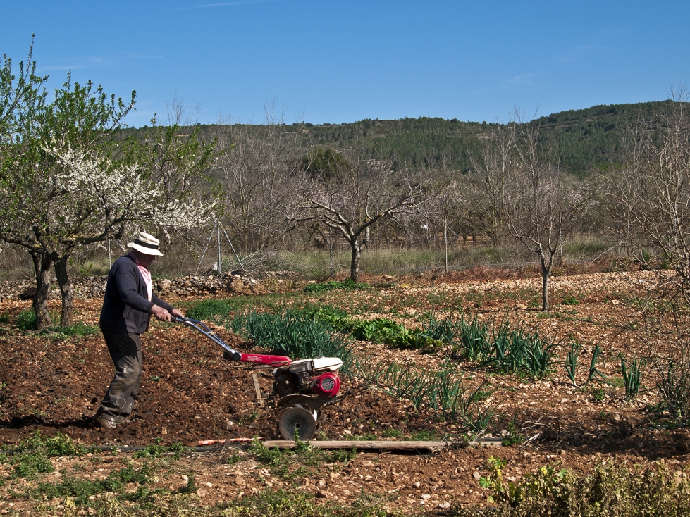 LA UNI propone la priorizacin de las ayudas en las personas profesionales para garantizar el futuro del sector agrario valenciano...