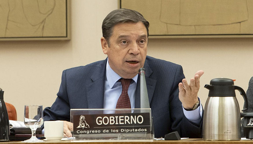 El ministro Luis Planas, en la comparecencia en el Congreso de los Diputados