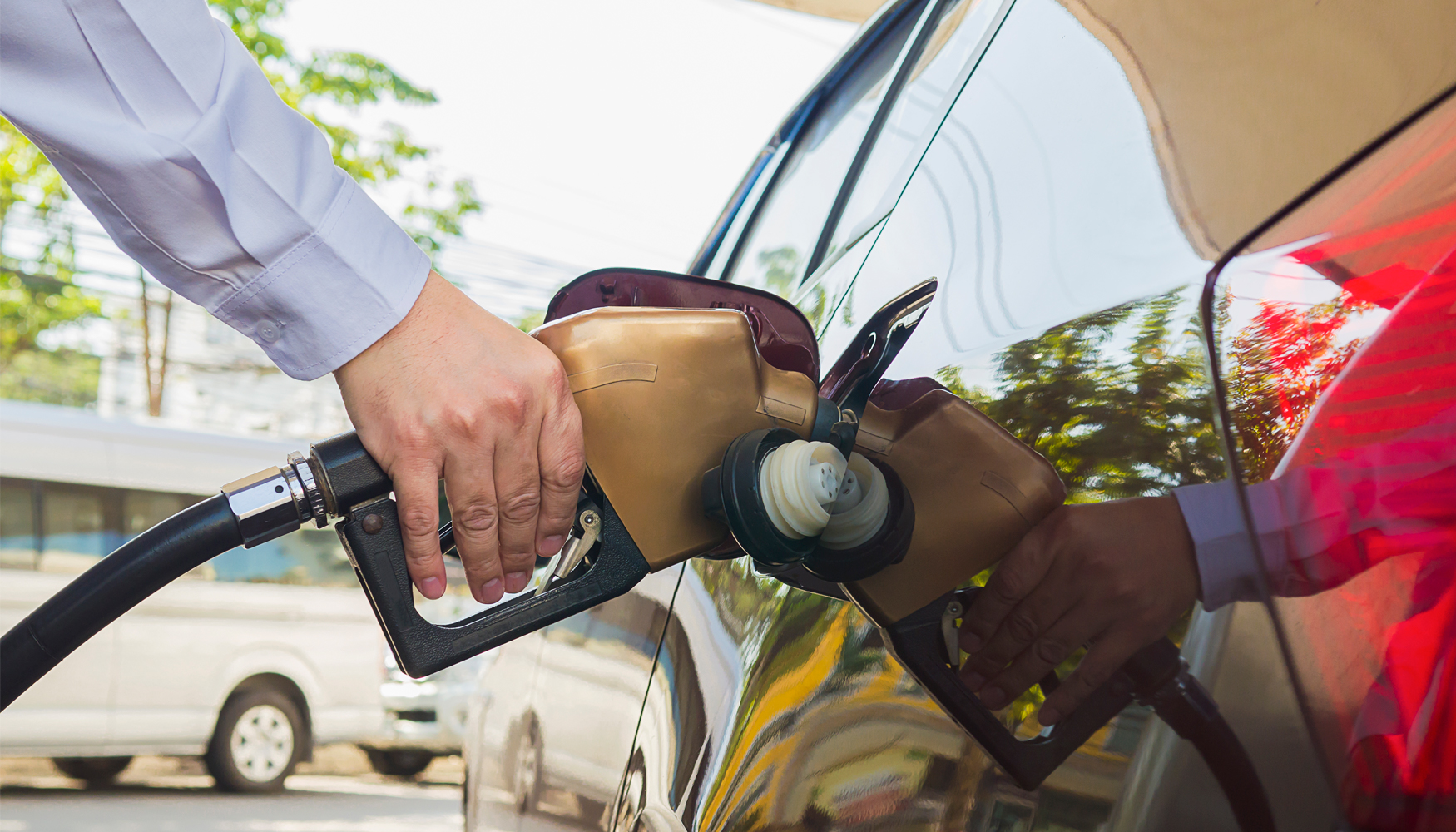 Los combustibles renovables por s solos no harn frente al cambio climtico, pero pueden contribuir a lograr avances significativos...