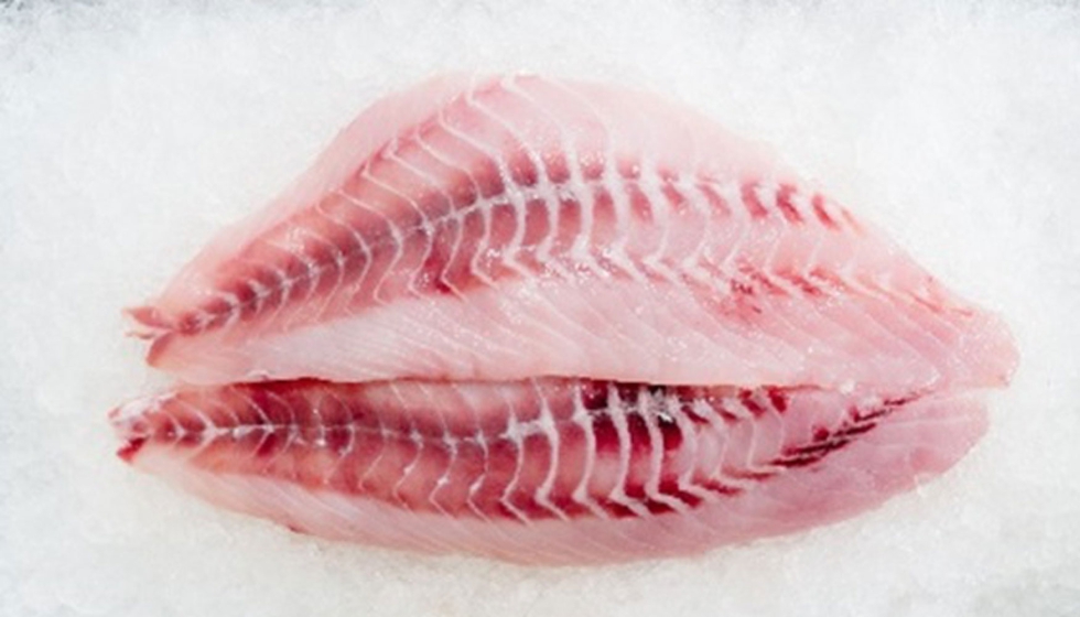 Digital Press: ¿El pescado congelado es igual de nutritivo que el