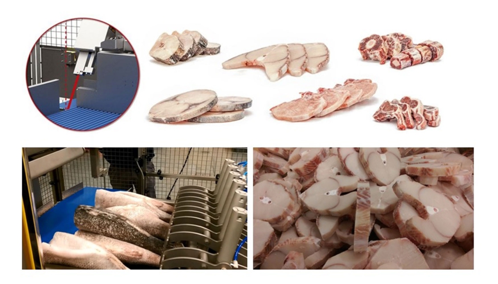 Factores que influyen en la calidad del pescado congelado - UMI Foods