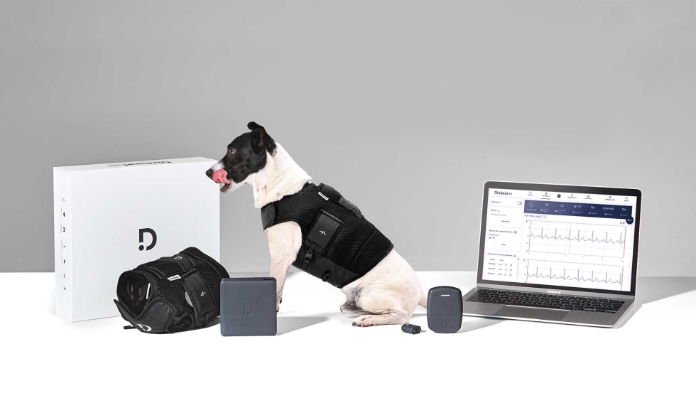 Dinbeat Uno, el principal producto de la marca, permite a los veterinarios monitorizar constantes vitales en tiempo real y de forma inalmbrica...
