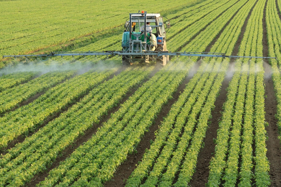 La CE se ha marcado como objetivo reducir un 50% el empleo de productos fitosanitarios en la agricultura europea