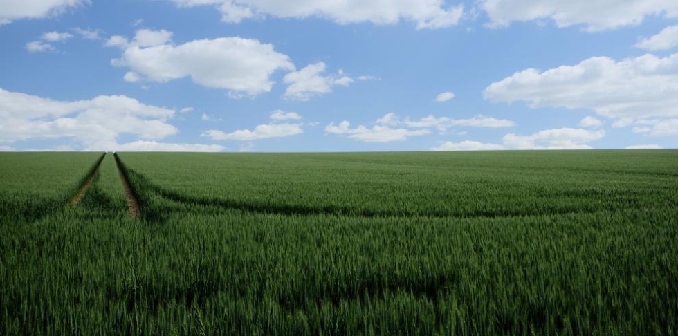 Aragón aprueba la Ley de Protección y Modernización de la Agricultura  Familiar - Grandes cultivos