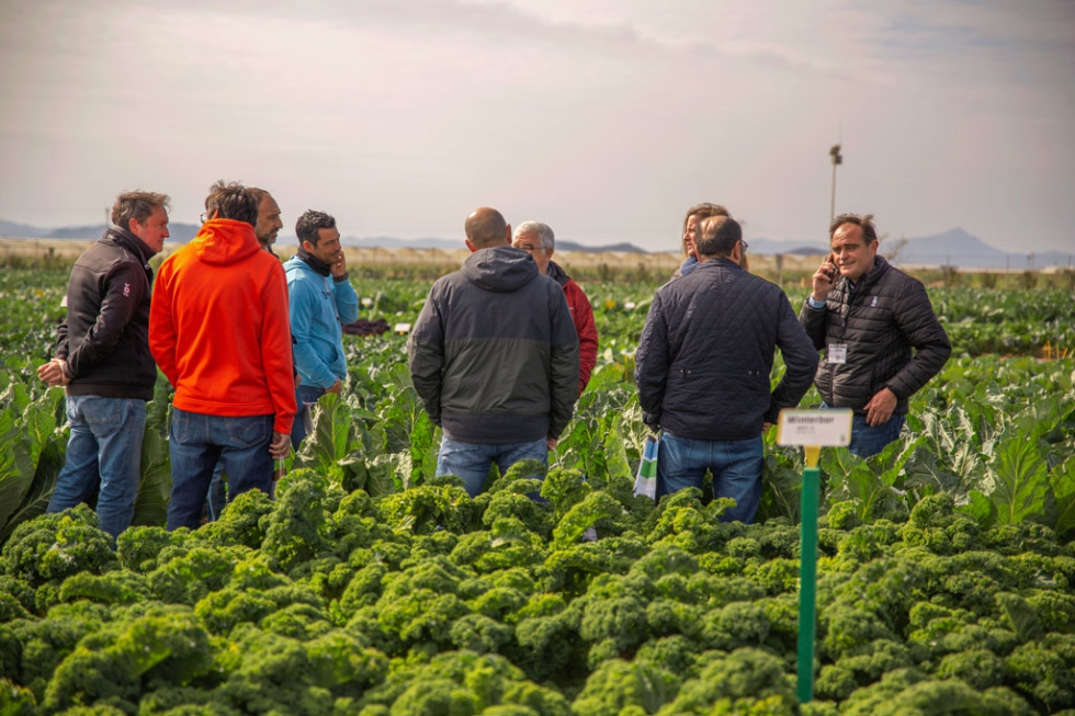 Los 'Open Days' 2023 de Bejo se celebraron en la Finca El Aljibe de Balsapintada (Murcia)