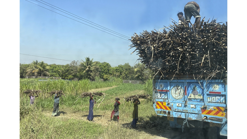 El proceso de mecanizacin de determinadas tareas camina con paso lento en India