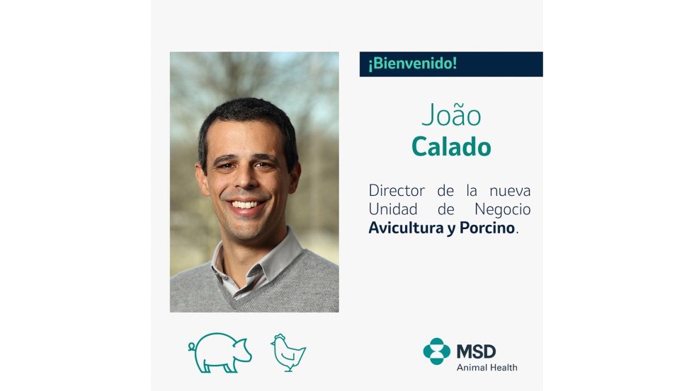 Joo Calado, nuevo director de la nueva unidad conjunta de Avicultura y Porcino en MSD Animal Health Espaa