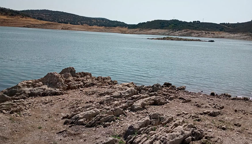 Fuentes de la Junta de Andaluc�a comunicaron el 1 de marzo que los embalses andaluces se encontraban al 29,83% de su capacidad...