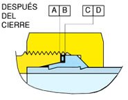 Figura 6