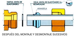 Figura 8