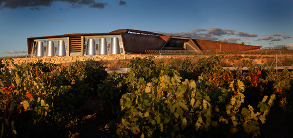 Vista de la bodega