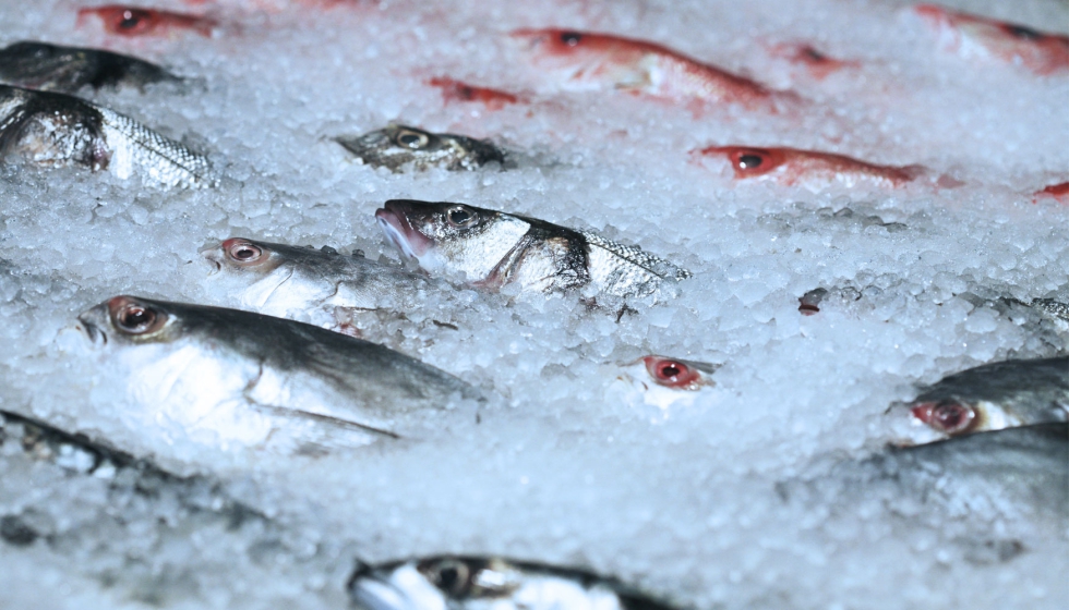 El sector del pescado eleva su movilizacin por el IVA al caer un 20% sus ventas en los dos primeros meses de 2023...
