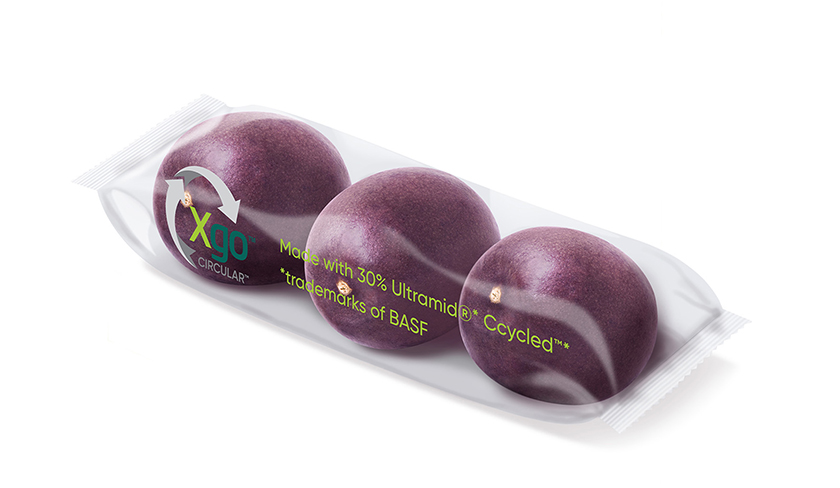 A atmosfera protetora adaptada no interior da embalagem mantém a qualidade da fruta por mais tempo. (Imagem: BASF)
