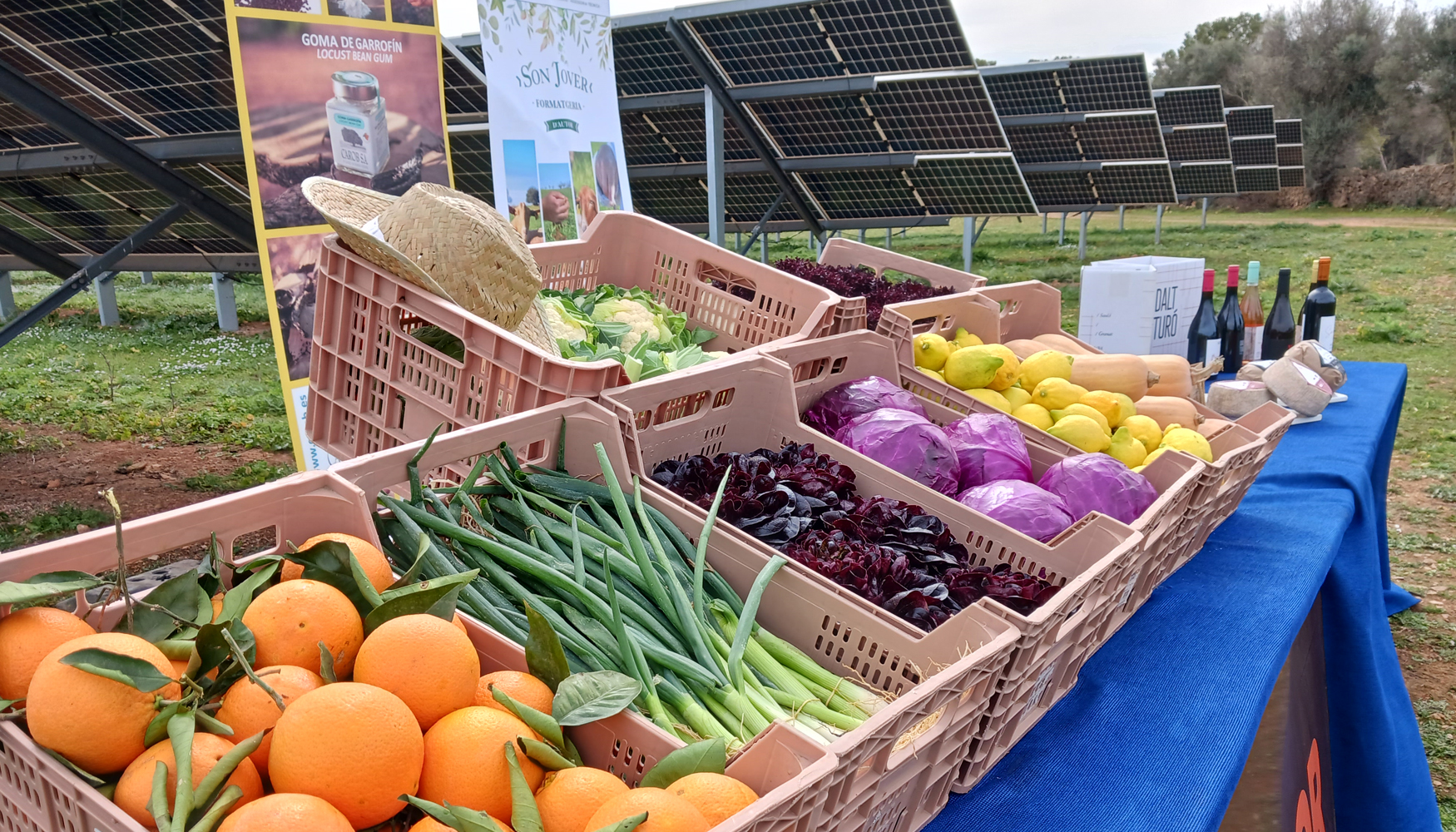 Productos que se obtienen a partir de las sinergias entre los sectores primario e industrial en las plantas solares de Endesa...
