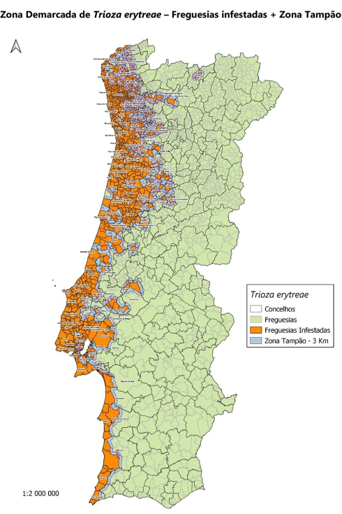 Imagen 1. Zona demarcada de T. erytreae en Portugal a fecha de 14 de octubre del 2022 (DGAV, 2022)