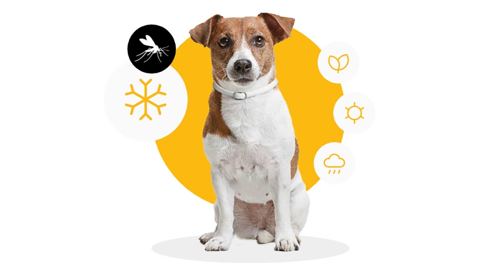 Scalibor se ha convertido en uno de los collares antiparasitarios ms populares entre los propietarios de mascotas debido a su alta eficacia y...