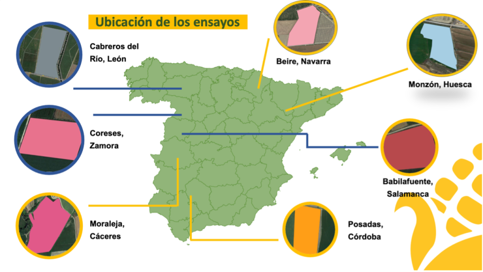 Figura 1. Ubicacin de los ensayos MazSostenible